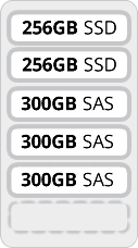 256GBx2 SSD + 300GBx3 SAS for Dell Poweredge R610